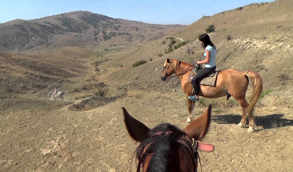 Конные прогулки на отдыхе в Судаке в Крыму